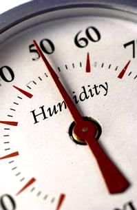 home dehumidification system, Boston, Arlington MA